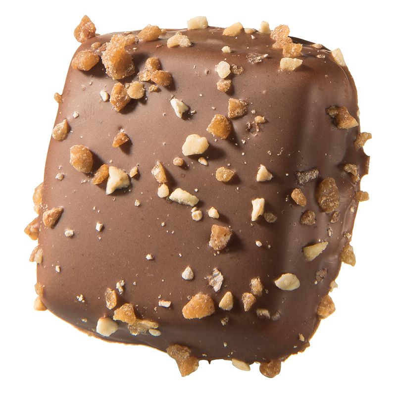 ganache praline